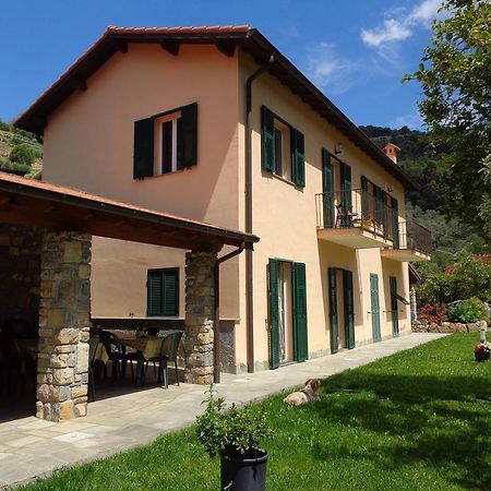 Agriturismo Turlin Vallebona 外观 照片