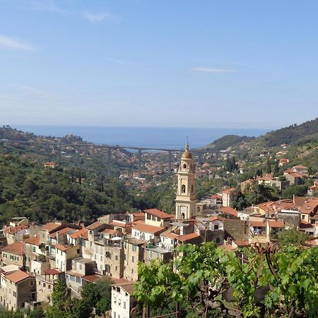 Agriturismo Turlin Vallebona 外观 照片