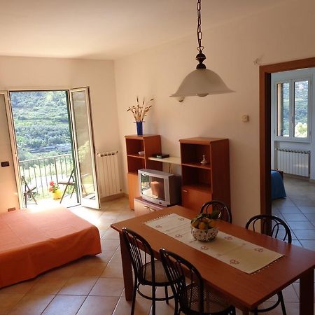 Agriturismo Turlin Vallebona 外观 照片