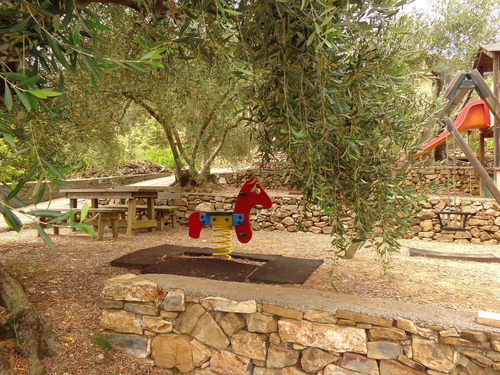 Agriturismo Turlin Vallebona 外观 照片