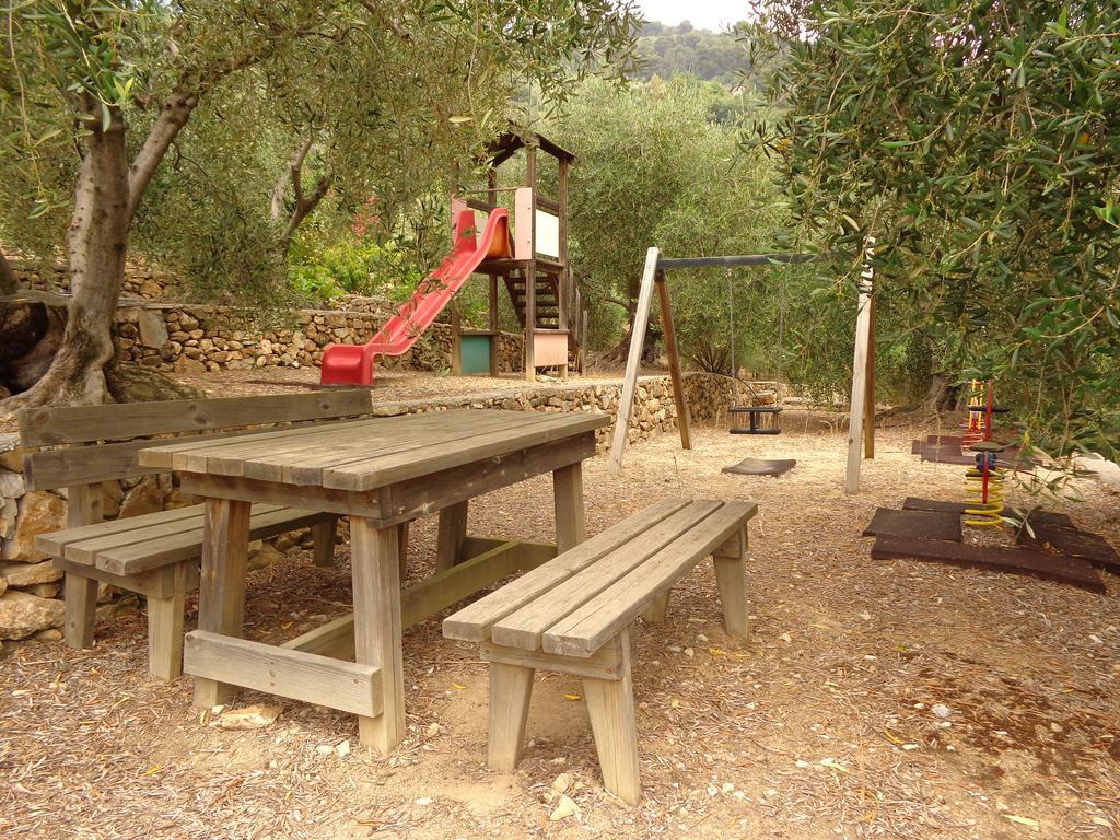 Agriturismo Turlin Vallebona 外观 照片