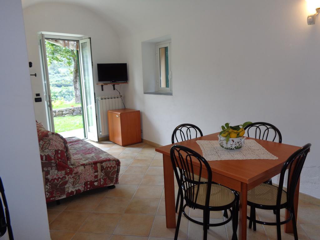 Agriturismo Turlin Vallebona 外观 照片