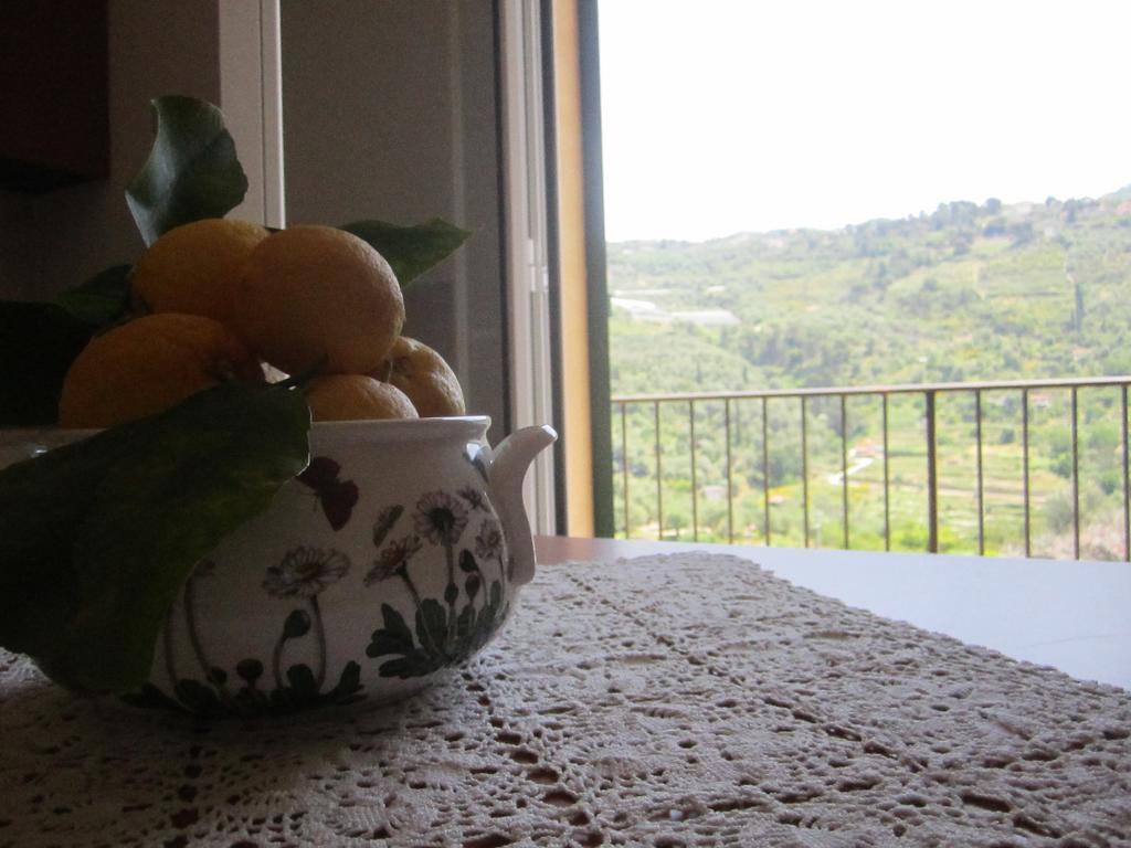 Agriturismo Turlin Vallebona 外观 照片
