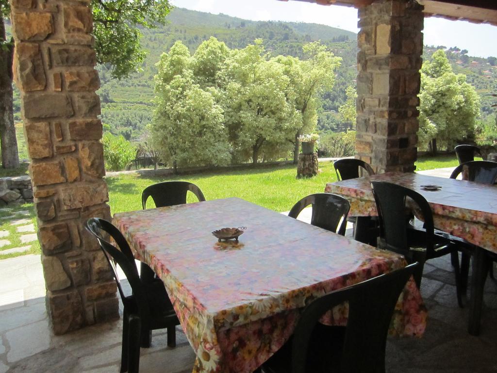 Agriturismo Turlin Vallebona 外观 照片