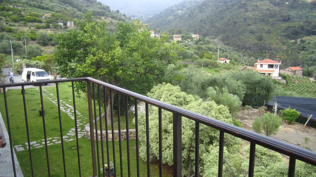 Agriturismo Turlin Vallebona 外观 照片