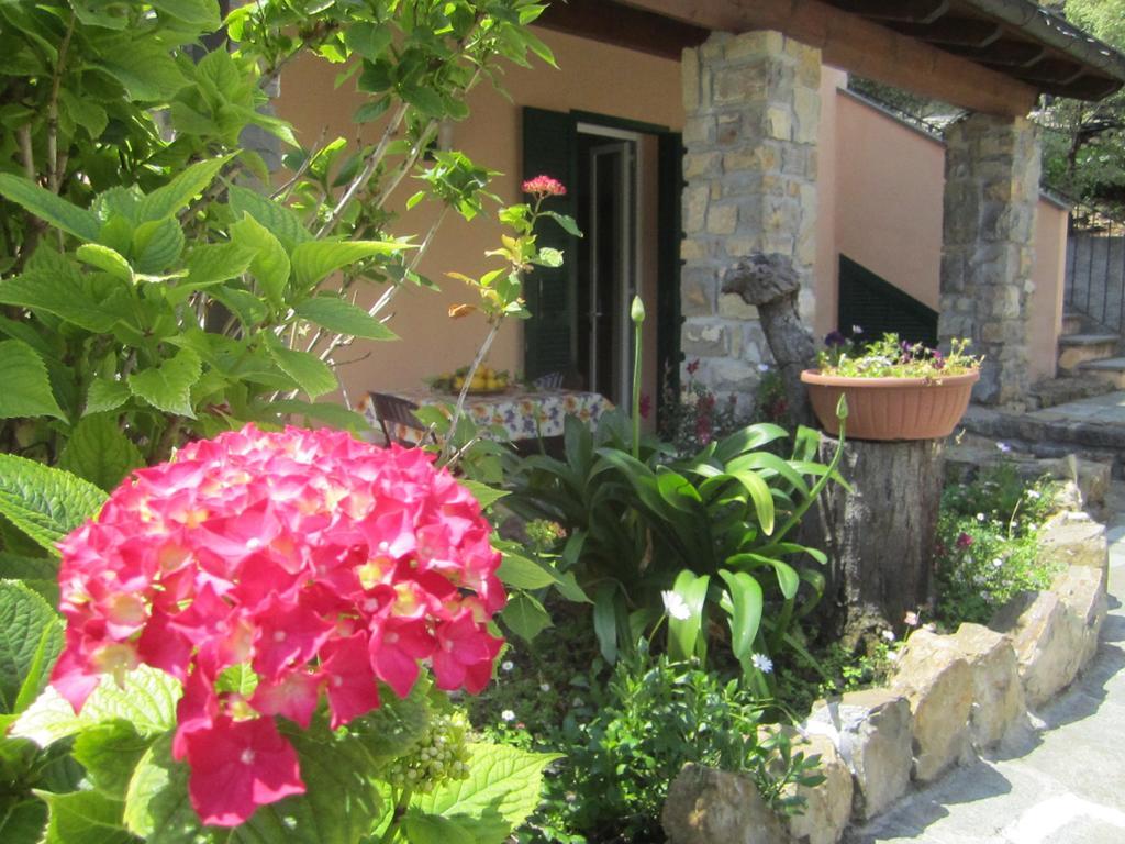 Agriturismo Turlin Vallebona 外观 照片